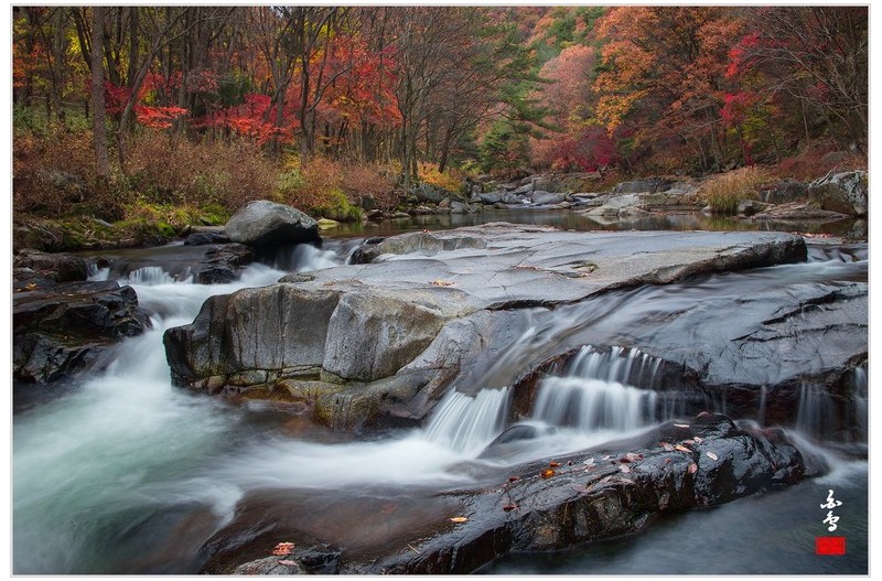 계류를 따라 가을은 흘러갑니다