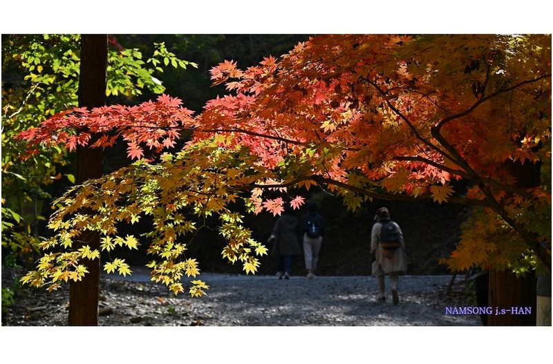 깊어가는 어느 가을날에 ---