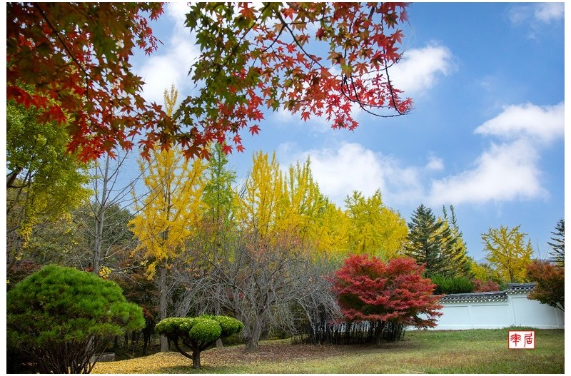 가을 단풍