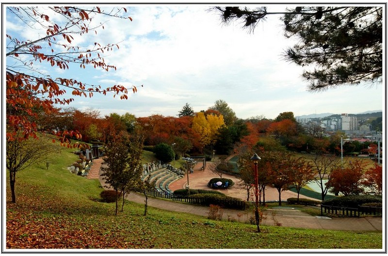 남산 공원막바지 단풍