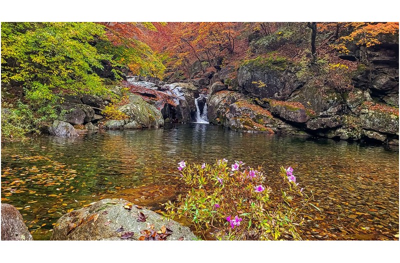 어찌 이런 사진이 나올까