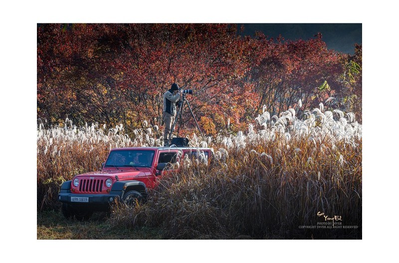 가을이 익어간다