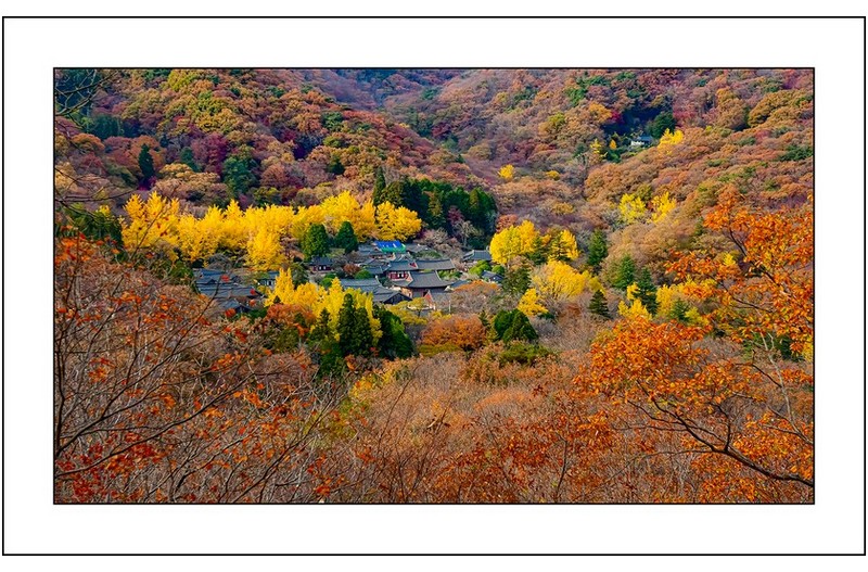 선암사의  가을..