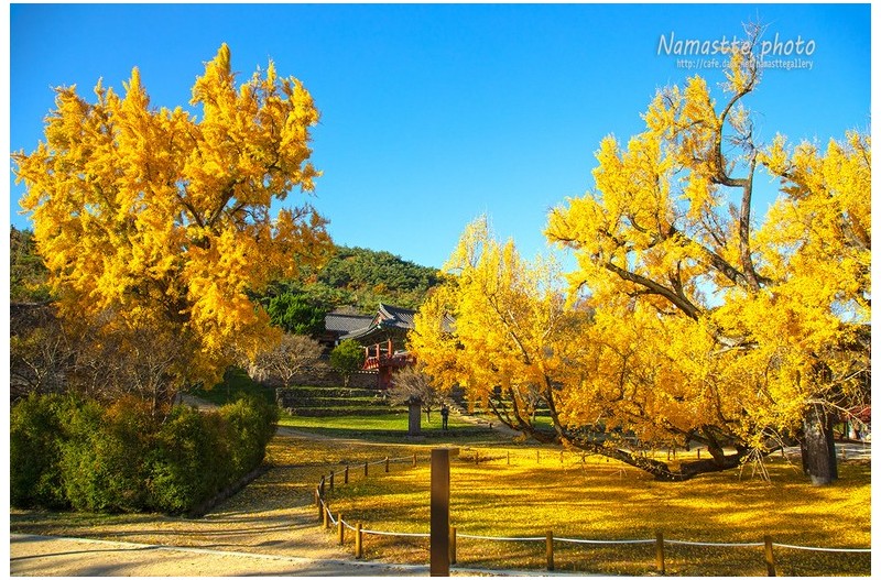 눈이 부시게 푸르른 날은
