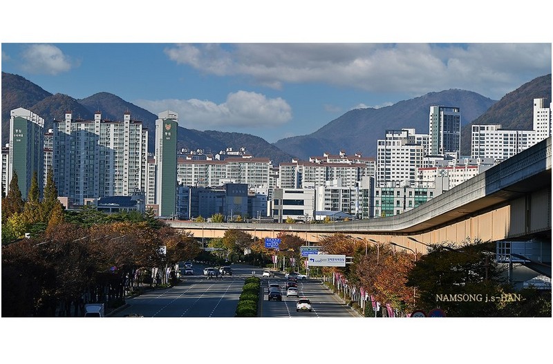 거리의 풍경 ----