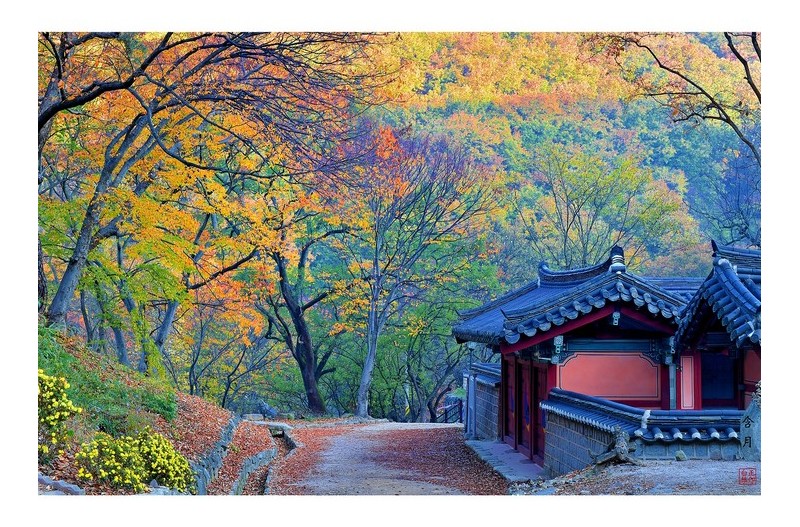 운곡서원에서 (추억의 사진)