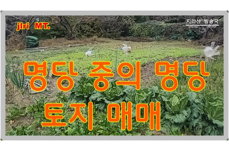 절호의 기회 최고의 쉼터