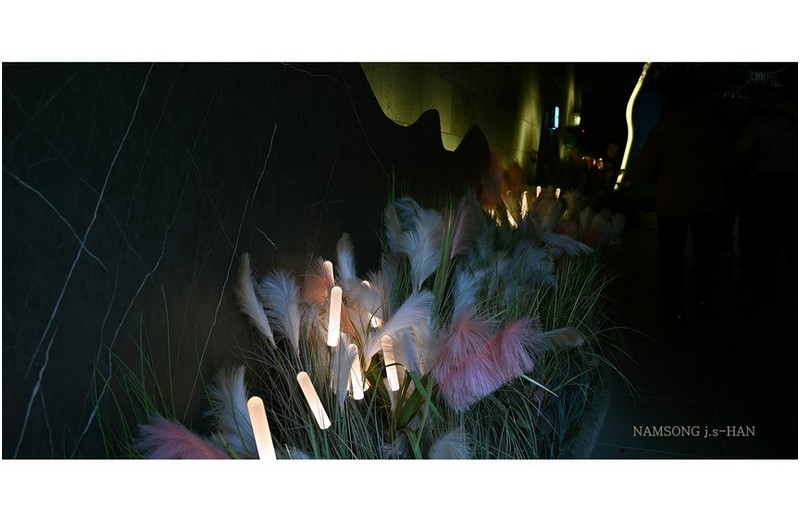 빛으로 그림을 그리다.