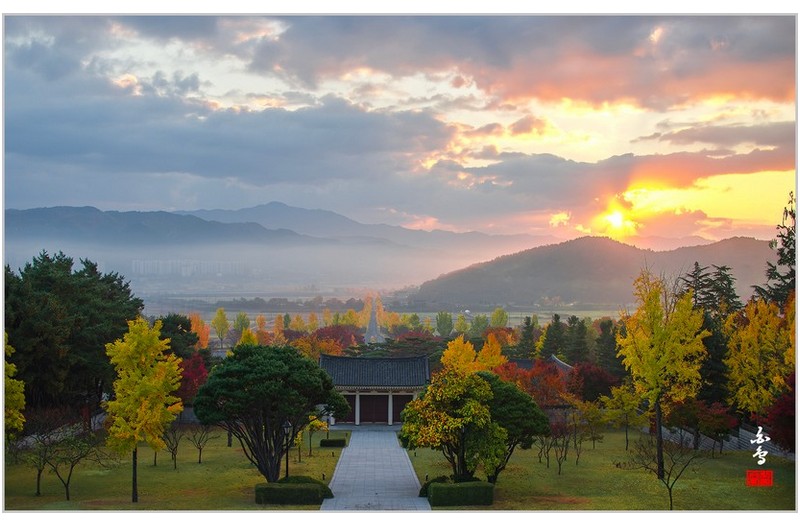 통일전 은행나뭇길