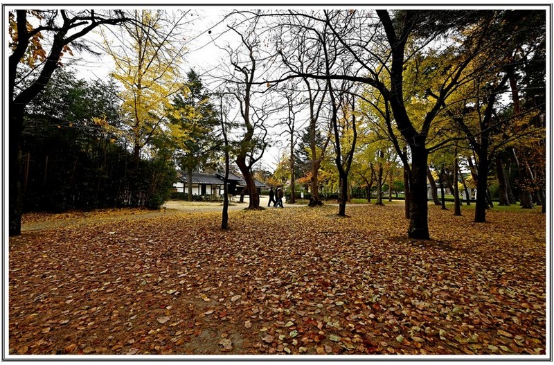 허균 생가 단풍 지고