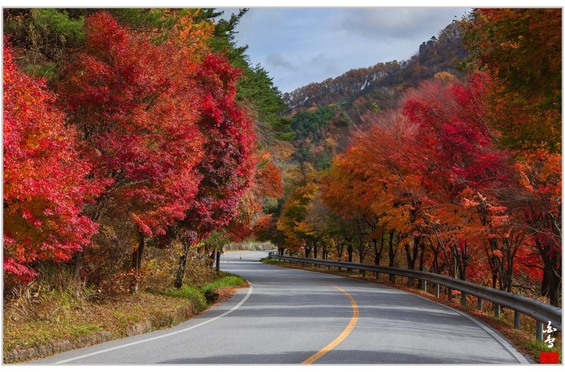 아름다운 단풍길