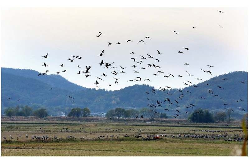 순천만 습지방문