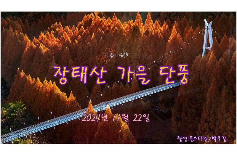 장태산 단풍 절정