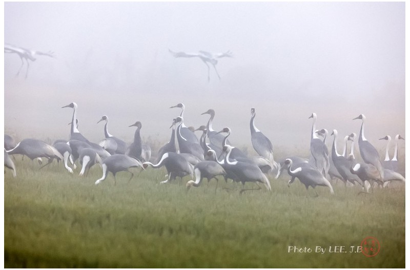 주남저수지 들녘