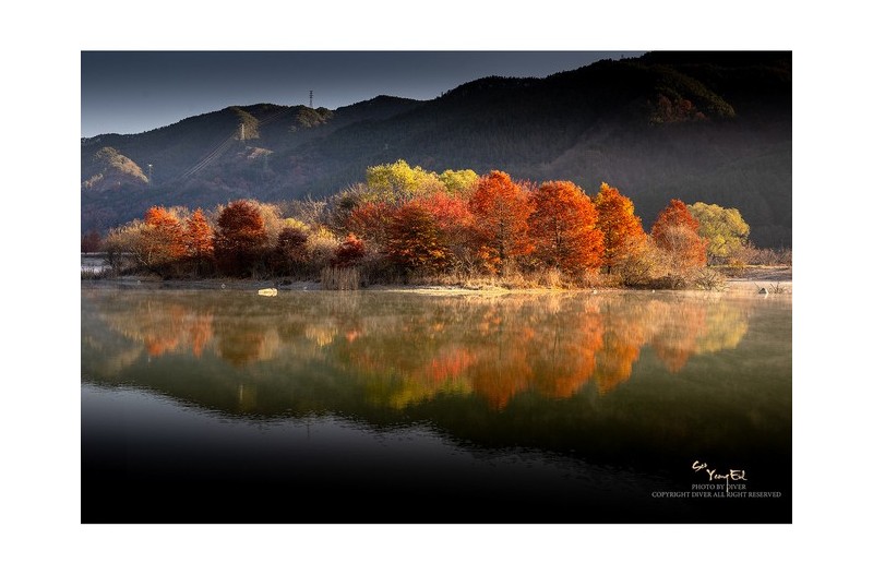 가을의 마지막 선물