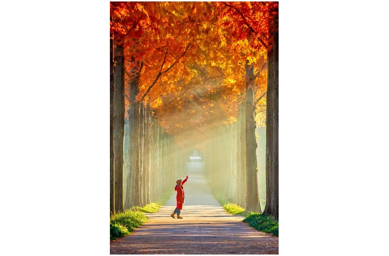 아침 빛에 나주 메타길