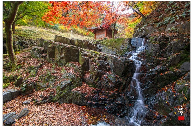 가을이 그린 풍경