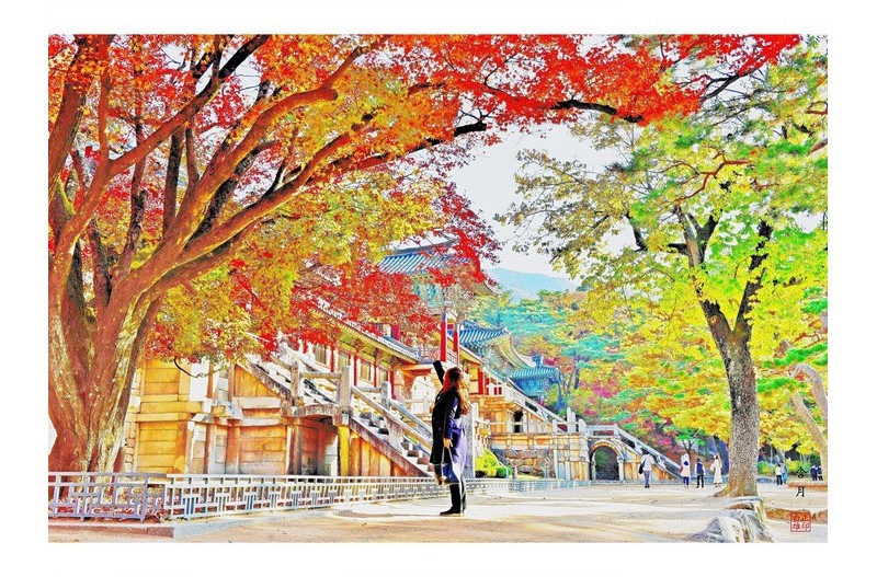 천년의 고도 불국사