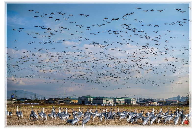 주남지 종합선물