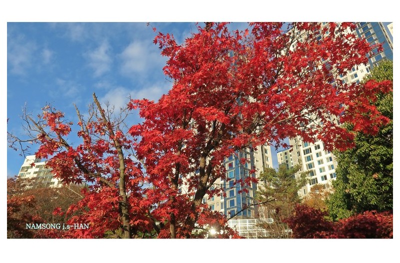 가을이 그린 풍경화 ----