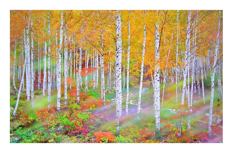 당신을 기다립니다.