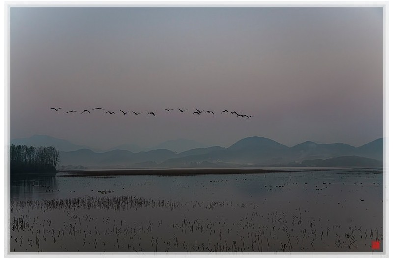 철새는 날아오고