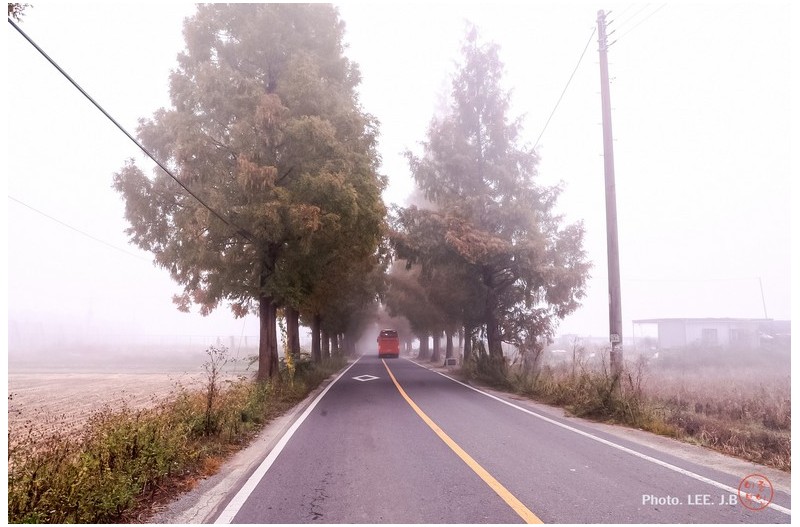 안개 낀 죽동마을