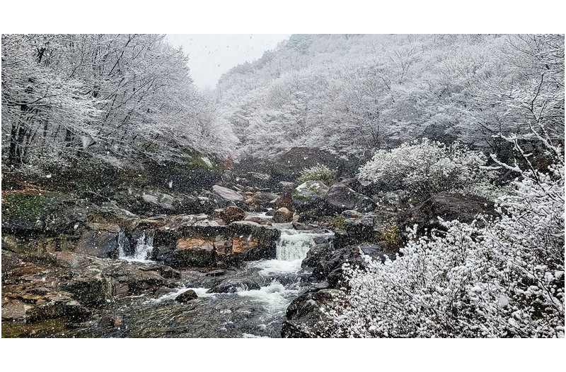 나 에게 는 헌 눈인데 왜 다들 첫눈이라 부르는지 ?