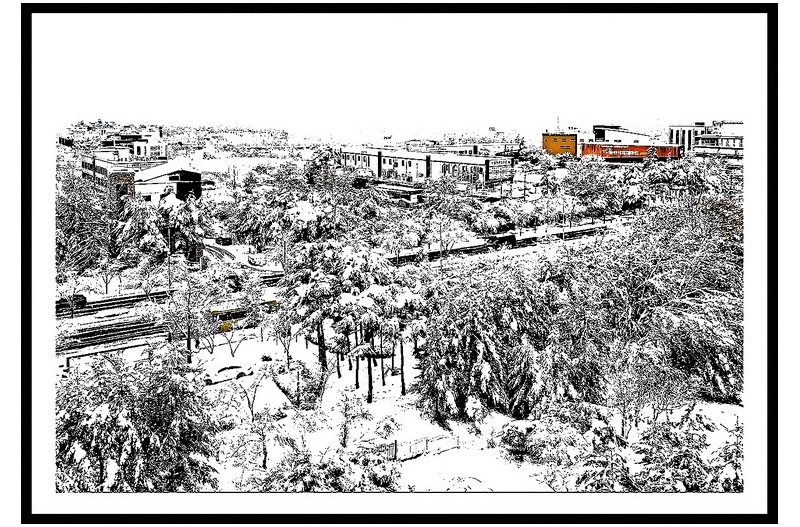 도농첫눈이많이...........