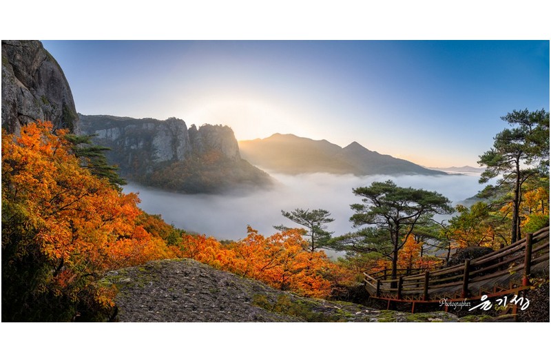 주왕산 단풍도 이제 내년을....