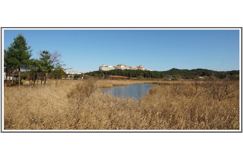 오산리 쏠 비치