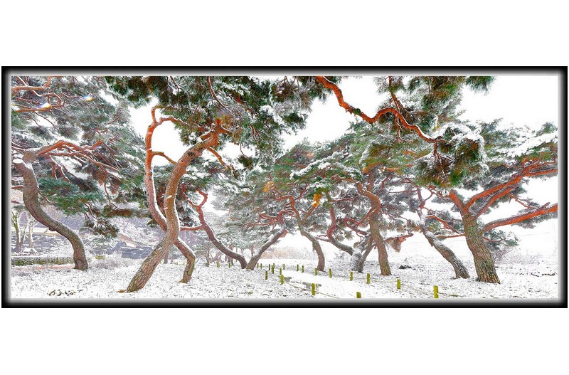 우리동네 눈오는 날