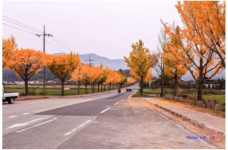 경주 통일전 가는 길