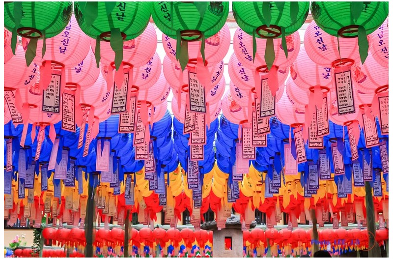 불국사 회주 종상 대종사 근조 법등