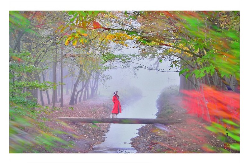 낭만의 외나무다리.