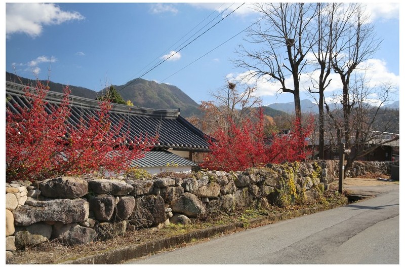 산수유 읶어가는 마을