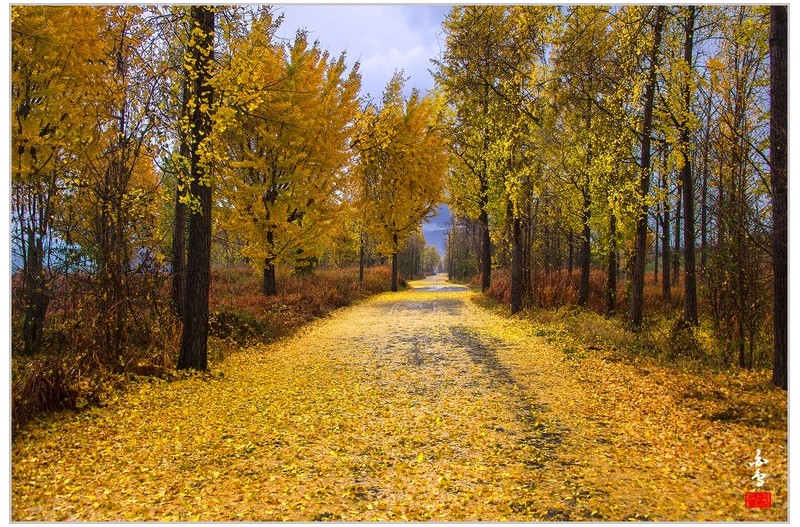 가을이 떠나는 자리