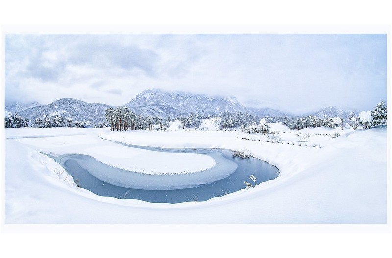 호수가 그림 그림