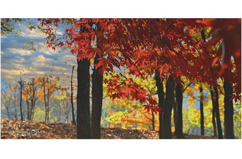 늦가을의 풍경화 ----