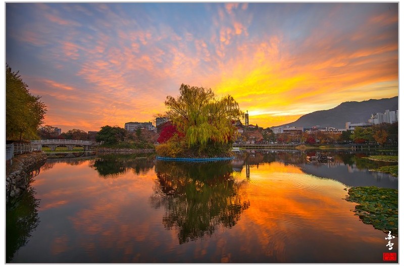 이제 단풍이 절정인 두류공원-1-