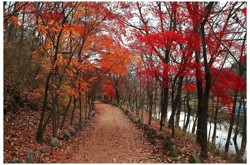 가을이 머문자리