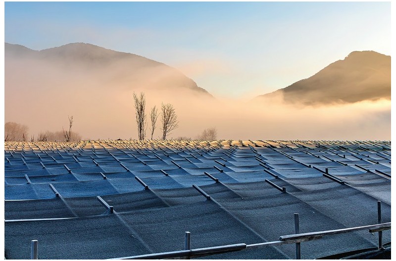 겨울 안개속으로