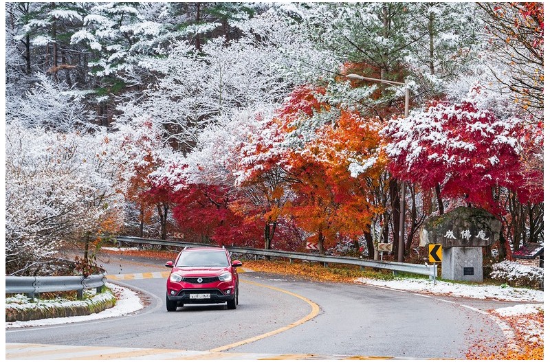 겨울로가는가을