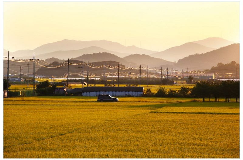 소소한 풍경 하나