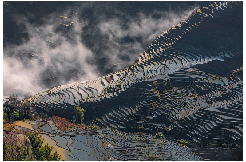 다랭이 논과 운무