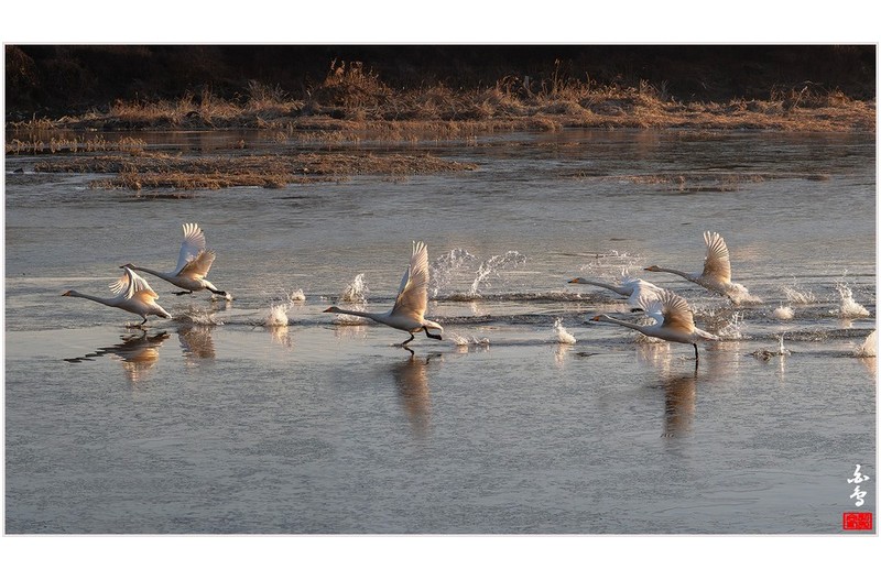 아침햇살속으로~~~