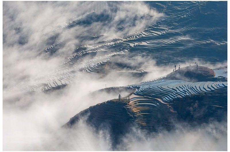 다랭이논과 운무