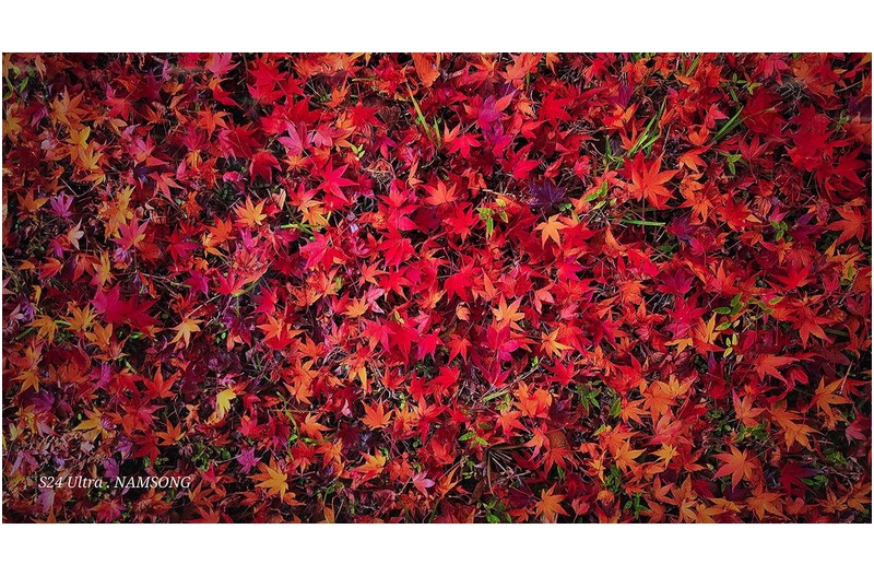 늦가을의 흔적 -----