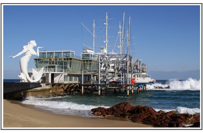 정동진 배 카페