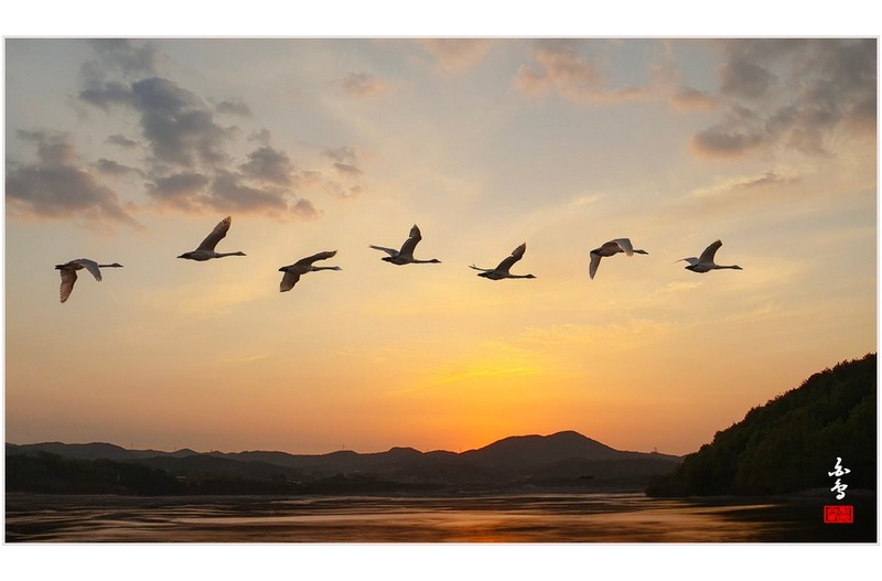 어디로 가시나이까  ???